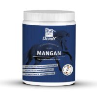 derby mangan 1