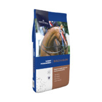 dodson horrell build glow