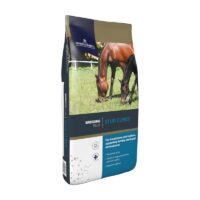 dodson horrell stud cubes