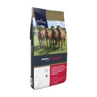 dodson horrell suregrow