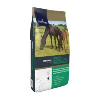 dodson mare youngstock
