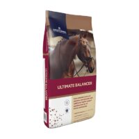 dodson ultimate balancer