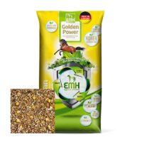 eggersmann golden power