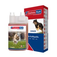 gladiator plus senior 1000m