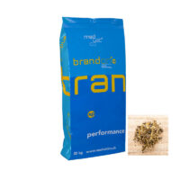 st. hippolyt brandon xp