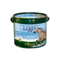 st hippolyt lamin forte