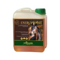 sthippo wes energyboost