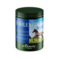 sthippoly fohlengold bone