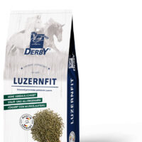 DERBY Luzernfit 855x1375px