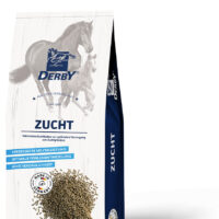 DERBY Zucht 855x1375px