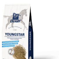 DERBY Youngstar 855x1375px