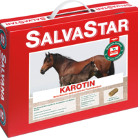 Salvana Karotin 5 kg