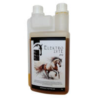 EST Elektrolyte1l web