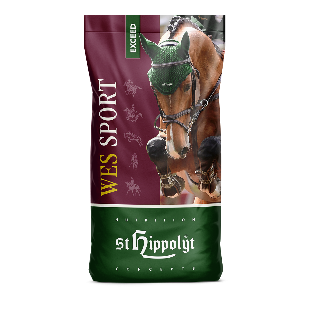 St. Hippolyt WES Sport Exceed 25 kg