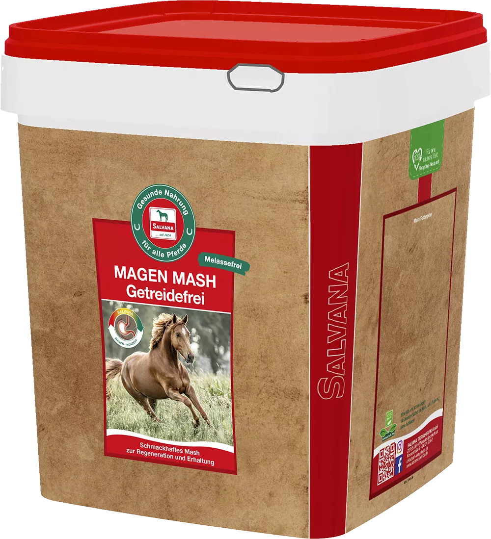 Salvana Magen Mash getreidefrei