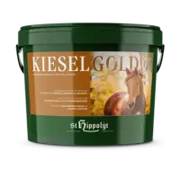 Kieselgold EIMER VS WEB