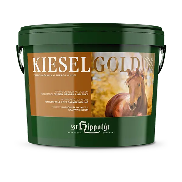 St. Hippolyt Kieselgold 4 kg