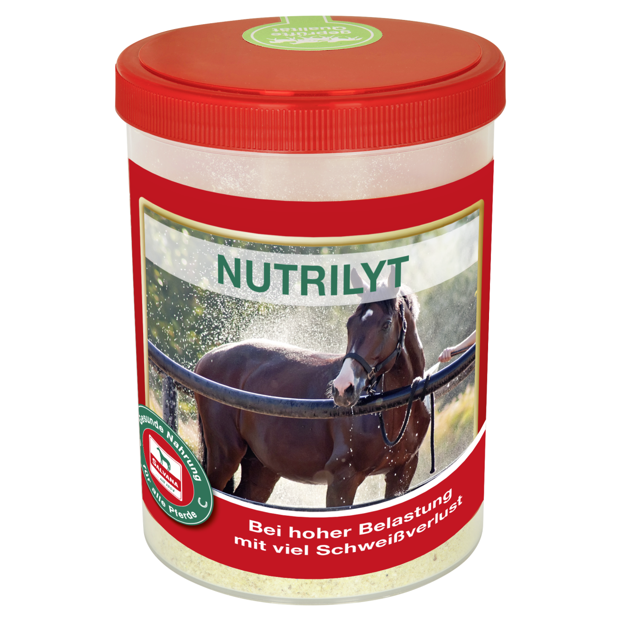 Salvana Nutrilyt 4kg