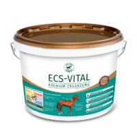 Ecsvital 800x800
