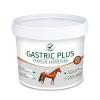 Gastricplus 1 800x800