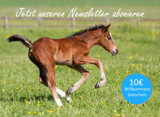 newsletter banner 10 Rabatt